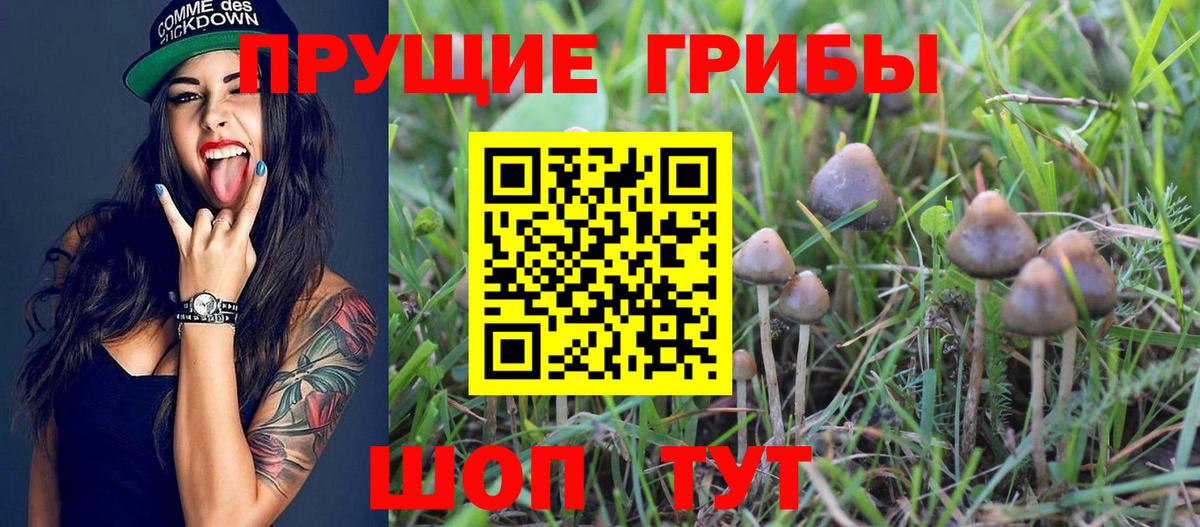 Брянск  Галлюциногенные грибы Psilocybe  Вход с VPN  Псилоцибиновые грибы Magic Shrooms 