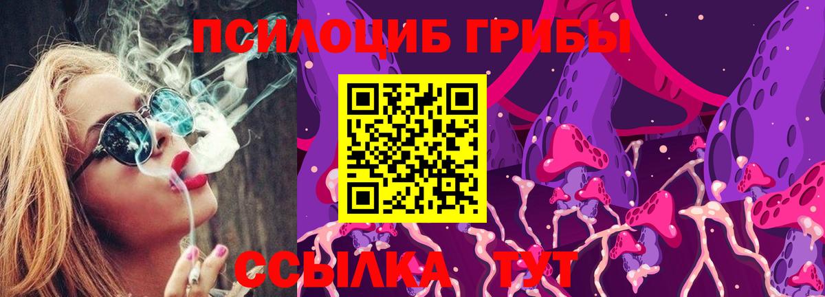 Псилоцибиновые грибы Psilocybine cubensis Брянск